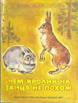 читать Чем кролик на зайца не похож