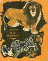 читать Чико и его друзья