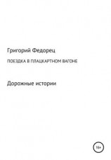 читать Поездка в плацкартном вагоне