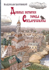 читать Дивные истории города Сударушкина