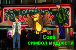 читать Сова - символ мудрости