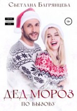 читать Дед Мороз по вызову