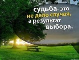 читать Притча о выборе