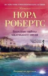 читать Большие тайны маленького отеля