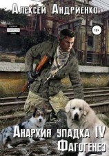 читать Анархия упадка 4. Фагогенез