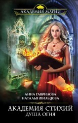 читать Академия Стихий. Душа Огня