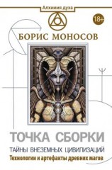 читать Точка сборки. Тайны внеземных цивилизаций. Технологии и артефакты древних магов