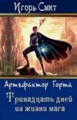 читать Тринадцать дней из жизни мага