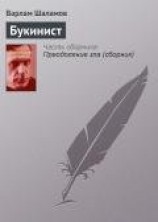 читать Букинист