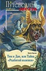 читать Тим и Дан, или Тайна «Разбитой коленки»