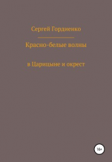 читать Красно-белые волны в Царицыне и окрест