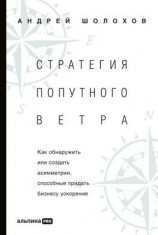 читать Стратегия попутного ветра. Как обнаружить или создать асимметрии, способные придать бизнесу ускорение