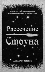 читать Рассечение Стоуна