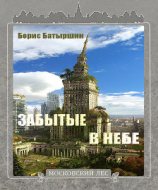 читать Забытые в небе
