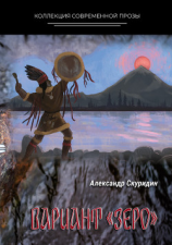 читать Вариант Зеро