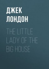 читать The Little Lady of the Big House