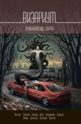 читать Визариум. Проникновение миров