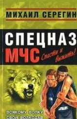 читать Всякому волку свой волкодав