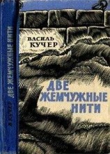 читать Смысл его улыбки