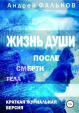 читать Жизнь души после смерти тела. Обобщение научных исследований
