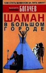 читать Шаман в большом городе