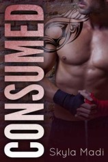 читать Нокаут (ЛП)