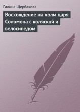 читать Восхождение на холм царя Соломона с коляской и велосипедом