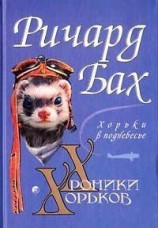 читать Хорьки в поднебесье