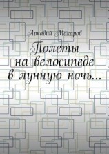 читать Полеты на велосипеде в лунную ночь