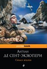читать Смысл жизни