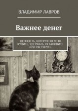 читать Важнее денег. Ценность, которую нельзя купить, удержать, остановить или растянуть
