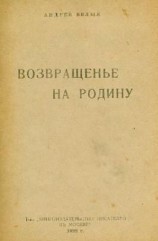 читать Возвращенье на родину