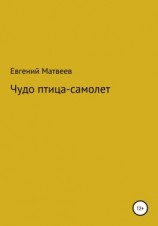 читать Чудо птица-самолет