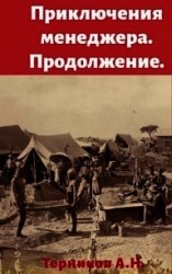 читать Приключения менеджера. Продолжение