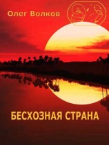 читать Бесхозная страна