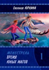 читать Время юных магов. Менестрель. Книга 1