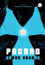 читать Распад. Новое солнце