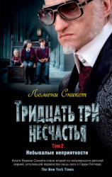 читать Тридцать три несчастья. Том 2. Небывалые неприятности