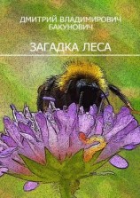 читать Загадка леса