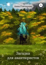 читать Загадка для авантюристов