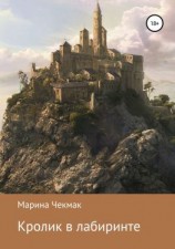 читать Кролик в лабиринте