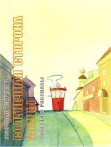 читать Солнечная сторона улицы (сборник)