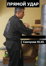 читать Прямой удар