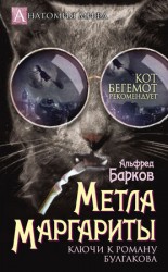 читать Метла Маргариты. Ключи к роману Булгакова