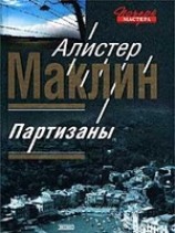 читать Партизаны
