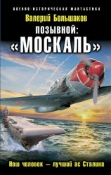 читать Позывной: Москаль. Наш человек   лучший ас Сталина