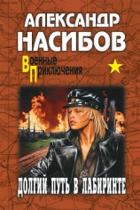 читать Долгий путь в лабиринте (др. изд.)