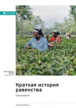 читать Ключевые идеи книги: Краткая история равенства. Тома Пикетти