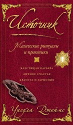 читать Источник. Магические ритуалы и практики