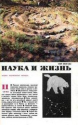 читать Происшествие в Вистерия-Лодж